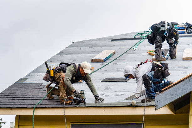Professional Roofing technician working in Harts, WV